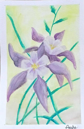 A colorful render of the Colorado state flower, the Columbine. I used a mixture of Gouache paint and color pencils.